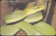 GERMANY S17/94 City Zoo - Schlange - Snake - DD:3403 - Modul 20 - S-Series: Schalterserie Mit Fremdfirmenreklame