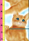 Grande Toise Murale Depliante Enfant Illustrée Chat Chats  130 X 21,5 Cm TBE - Autres & Non Classés