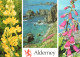 ALDERNEY, MULTIPLE VIEWS, ROCKS, COAST, EMBLEM, WILD FLOWERS, UNITED KINGDOM - Alderney