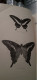 Papillons Nocturnes Encyclopèdie D'histoire Naturelle DR CHENU H.LUCAS 1857 - Encyclopaedia