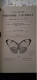 Delcampe - Papillons Et Papillons Nocturnes Encyclopèdie D'histoire Naturelle DR CHENU H.LUCAS 1857 - Encyclopaedia