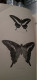 Delcampe - Papillons Et Papillons Nocturnes Encyclopèdie D'histoire Naturelle DR CHENU H.LUCAS 1857 - Enzyklopädien