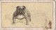 9 British Bulldog - Dogs 1938 -  Gallahers Cigarettes - Original - - Gallaher