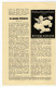 1936. AUSTRIA,GRAZ,ROTARY CLUB CHRISTMAS EDITION MAGAZINE,4 PAGES + ADVERTISING LEAFLET INSIDE,15 X 24 Cm - Autres & Non Classés