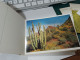 Delcampe - 499 //  CARNET DE 30 CARTES POSTALES DETACHABLES "ARIZONA " - Sonstige & Ohne Zuordnung