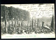 TERVUEREN - Fete Coloniale Du 02 Juillet 1905 - Rare / TTB - Tervuren