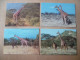 LOT 4 CARTES WWF  GIRAFE - Girafes