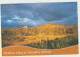 Entier Carte Postale  " Meilleurs Voeux " 2004 Oblitérée Pour La Corse - Covers & Documents