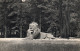 - PARIS - Parc Zoologique Du Bois De Vincennes. - Un Lion Sur Son Plateau.  - Scan Verso - - Lions