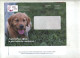 Enveloppe Reponse T Chien Guide Est + Destineo - Cards/T Return Covers