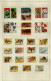 Z052 Animals / Birds / Fishes Thematic Collection On 12 Pages - Collections (sans Albums)