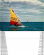 Photo Cpsm SPORTS. La Planche à Voile 1981 - Wasserski