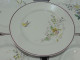 -6 ASSIETTES PLATES CERAMIQUE LONGWY Décor De Fleurs Papillons Insectes    E - Longwy (FRA)