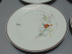 -6 ASSIETTES PLATES CERAMIQUE LONGWY Décor De Fleurs Papillons Insectes    E - Longwy (FRA)