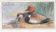 33 Red Crested Pochard  - Game Birds & Wildfowl 1927  - Players Cigarette Card - Original - Player's