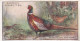 30 Mongolian Pheasant  - Game Birds & Wildfowl 1927  - Players Cigarette Card - Original - Player's