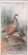 27 Red Legged Partridge  - Game Birds & Wildfowl 1927  - Players Cigarette Card - Original - Player's