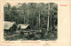 PC SURINAME BUITENKAMP ON EEN GOUDPLACET, VINTAGE POSTCARD (b416) - Suriname