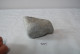 C127 Ancien Fossile - Rare Ammonite Schlotheimia - Fossilien