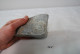 C127 Ancien Fossile - Rare Ammonite Schlotheimia - Fossielen