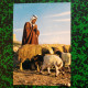 CPM Jordanie Jordan A Shepherd - Jordanie