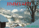 CPM - SAINT-JEAN-DE-SIXT En 1987 - Vue Générale Et La Chaine Des Alpes ( Canton De Faverges ) - Edit. GIL à Annecy - Faverges