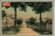 CPA - VAUVILLERS (70) - Vue De L'entrée Du Bourg Par La Route De St-Loup En 1906 - Carte Aspect Toilé - Vauvillers