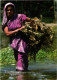 CPM Khulna Woman BANGLADESH (1182991) - Bangladesch