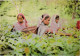 CPM Tribals Pulling Leaves In A Sylhet Tea Garden BANGLADESH (1183181) - Bangladesh