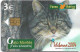 Spain - Telefonica - Fauna Iberica - Gato Montes Cat - P-557 - 09.2004, 4.500ex, Used - Emisiones Privadas