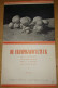 De Champignoncultuur - E.JD. Roelfsema - 3de Druk - Uitgeverij De Torenlaan (1950) - Sachbücher