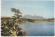 Loch Ewe From The Rock Garden, Inverewe Garde, Wester Ross - (Scotland) - Ross & Cromarty