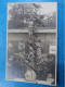 Carte Photo Studios D'Art Jean LEMAIRE  Photographe  Namur  Cimetiere Tombeau Sainte Holy - Heiligen