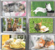 Delcampe - 40 CARTES-MAGNETIQUE-JAPON-THEME-CHATONS-TBE - Chats