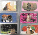 Delcampe - 40 CARTES-MAGNETIQUE-JAPON-THEME-CHATONS-TBE - Katten