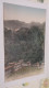 CHINE HONG KONG HONGKONG The Mountain View From Robinson Road No.178 UNUSED - China (Hong Kong)