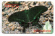 Papillon Butterfly Télécarte Thaïlande Phonecard Card (F 37) - Thaïland