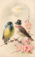 FANTAISIES - Des Oiseaux Avec Des Nœuds Et Chapeau - Colorisé - Carte Postale Ancienne - Gekleidete Tiere