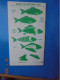 Fish Facts - Nevada Sea Food Co. 1967 - Americana