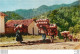 (KD) Photo Cpsm Petit Format GUATEMALA. Indians Chichicastenango Going To The Market - Guatemala