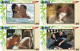 Delcampe - M13008 China Phone Cards James Bond 007 153pcs - Cinéma