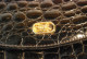 C131 Ancien Sac à Main Vintage Femme Porte Monnaie N°1 - Purses & Bags