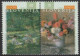 EUROPA CEPT 1996 SLOVACCHIA SLOVENIA SPAGNA   SERIE COMPLETA SET COMPLETE MNH** - 1996