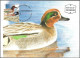 Israel 1989 Maximum Card Teal Ducks Of Israel [ILT1642] - Cartoline Maximum