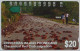 CHRISTMAS ISLAND - Anritsu - Telstra - $20 - The Annual Red Crab Migration - Mint - Rare - Islas Christmas