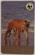 Malawi 100 - WWF Tiger ( Fake ) - Malawi
