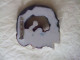 BROCHE VINTAGE D'OURS - Other & Unclassified