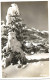 278 - 91 - Cate Suisse Avec Timbre JO St Moritz 1948 Et Obolit Spéciale - Winter 1948: St-Moritz