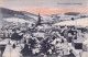 ALLEMAGNE - Wintersportplatz Furtwangen - Carte Postale Ancienne - Autres & Non Classés