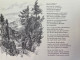 Delcampe - ... Waldwärts : Texte Und Zeichnungen Aus Dem Bayerischen Wald. - 4. 1789-1914